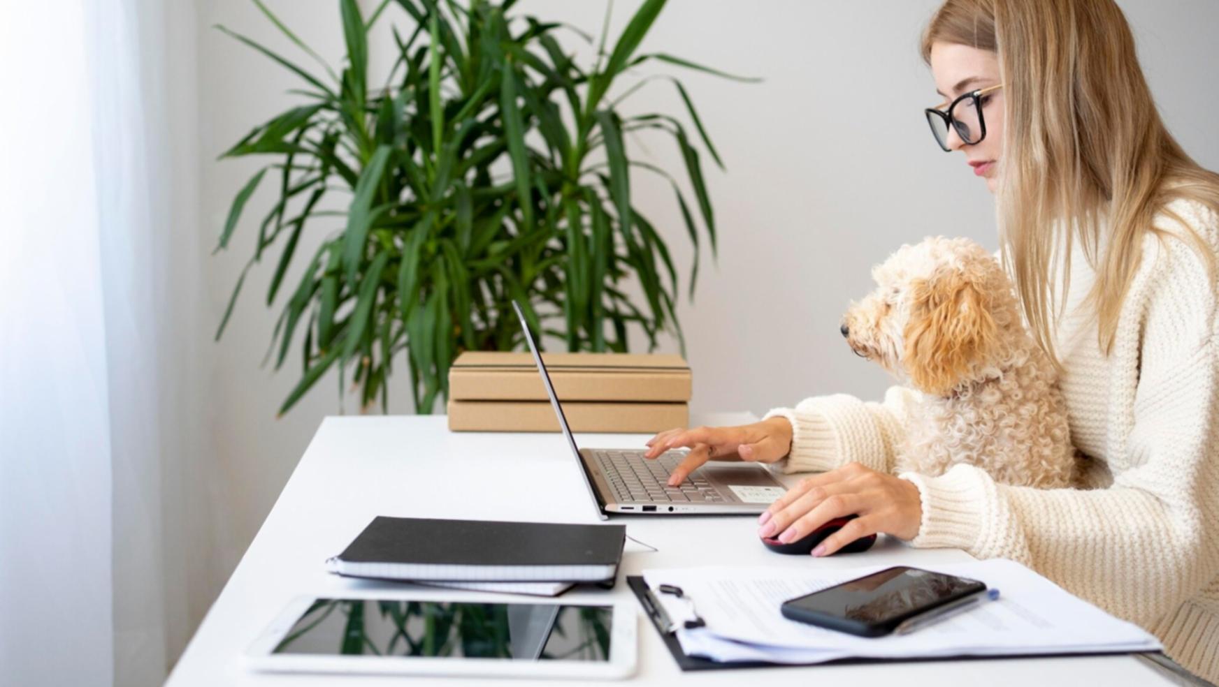 Professional working on budgeting documents and financial planning